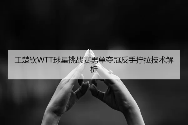 王楚钦WTT球星挑战赛男单夺冠反手拧拉技术解析