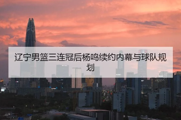 liao-ning-nan-lan-san-lian-guan-hou-yang-ming-xu-yue-nei-mu-yu-qiu-dui-gui-hua-3-291.jpg
