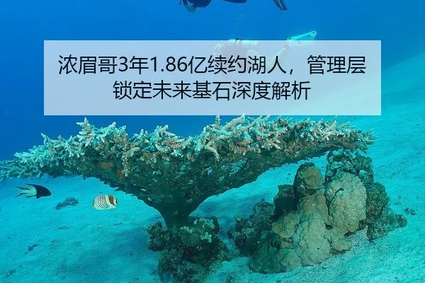 nong-mei-ge-nian-yi-xu-yue-hu-ren-guan-li-ceng-suo-ding-wei-lai-ji-shi-shen-du-jie-xi-3-407.jpg