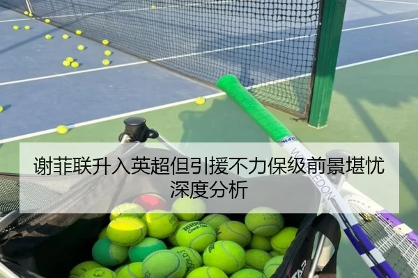 谢菲联升入英超但引援不力保级前景堪忧深度分析