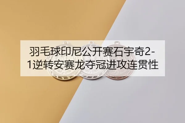 yu-mao-qiu-yin-ni-gong-kai-sai-shi-yu-qi-ni-zhuan-an-sai-long-duo-guan-jin-gong-lian-guan-xing-3-432.jpg